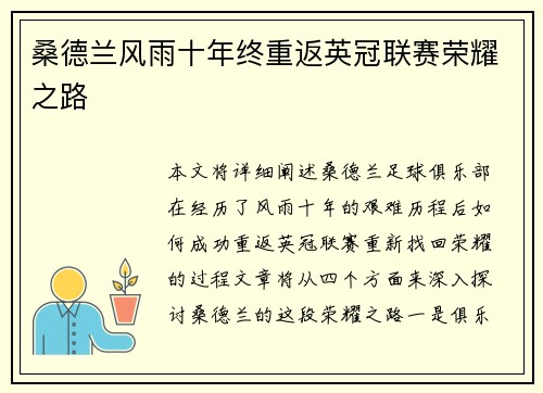 桑德兰风雨十年终重返英冠联赛荣耀之路
